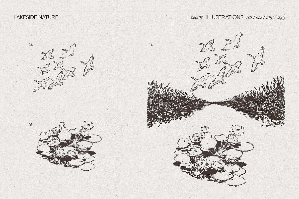 Lakeside Nature Illustrations, an Empty State Illustration by TheMountBirdStudio (Photo 12 of 17)