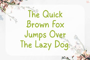Botany | Handwriting Font, a Handwritten Font by LivelyAutumn11.11 (Thumbnail 4 of 5)