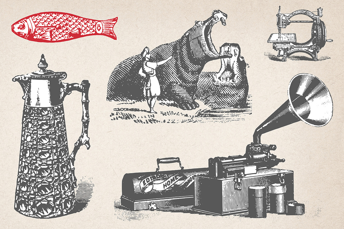 146 Vintage Illustrations, an Object Illustration by Polymath (Photo 12 of 14)