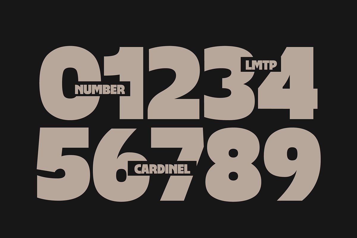 Cardinel - Bold Font, a Sans Serif Font by limitype (Photo 11 of 13)