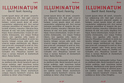 illuminatum - serif font family, a Serif Font by Artistic & Unique (Thumbnail 13 of 14)