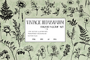 Vintage Herbs & Flowers mega set, an Object Illustration by Garden in frame (Thumbnail 1 of 8)