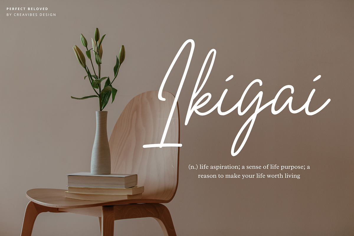 Perfect Beloved - Monoline Font, a Script Font by Creavibes Design (Photo 5 of 12)