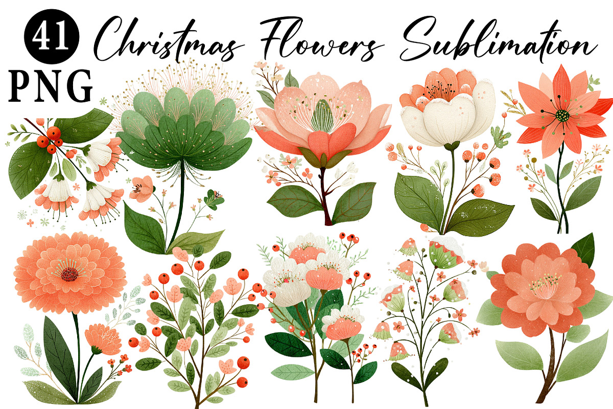 Christmas Flowers Sublimation, an Illustration by Daily.Designs (Photo 1 of 5)