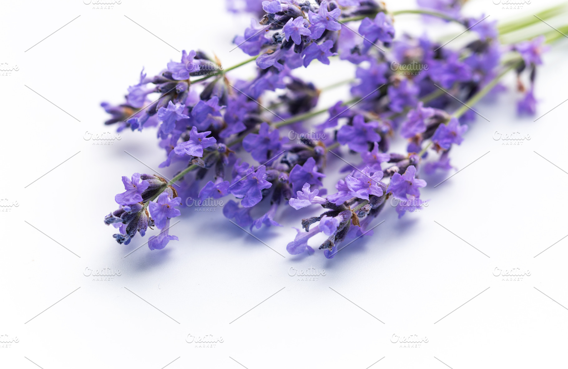 Lavender flowers creating relaxing aromatherapy herbal concept, a Health & Medical Photo by Olena Rudo