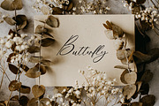 Catamount Signature Font, a Handwritten Font by UICreative (Thumbnail 3 of 13)
