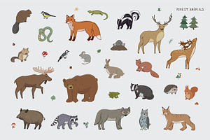 Forest Animals