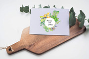 Watercolor herbs & spices collection, a Graphic by miminoshka (Thumbnail 9 of 9)