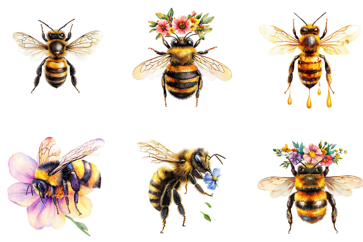 Honey Bee Watercolor Clipart, an Illustration by Designking (Photo 3 of 5)