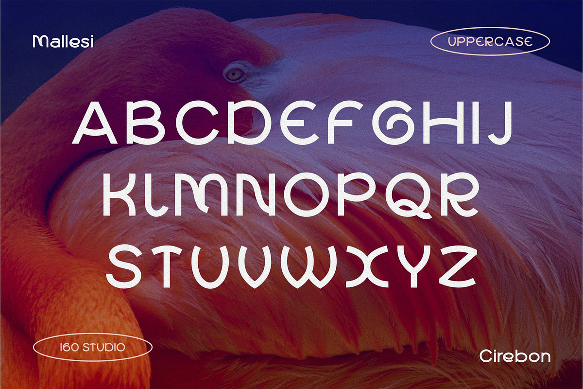 Mallesi Modern Sans, a Sans Serif Font by 160 Studio (Photo 2 of 13)