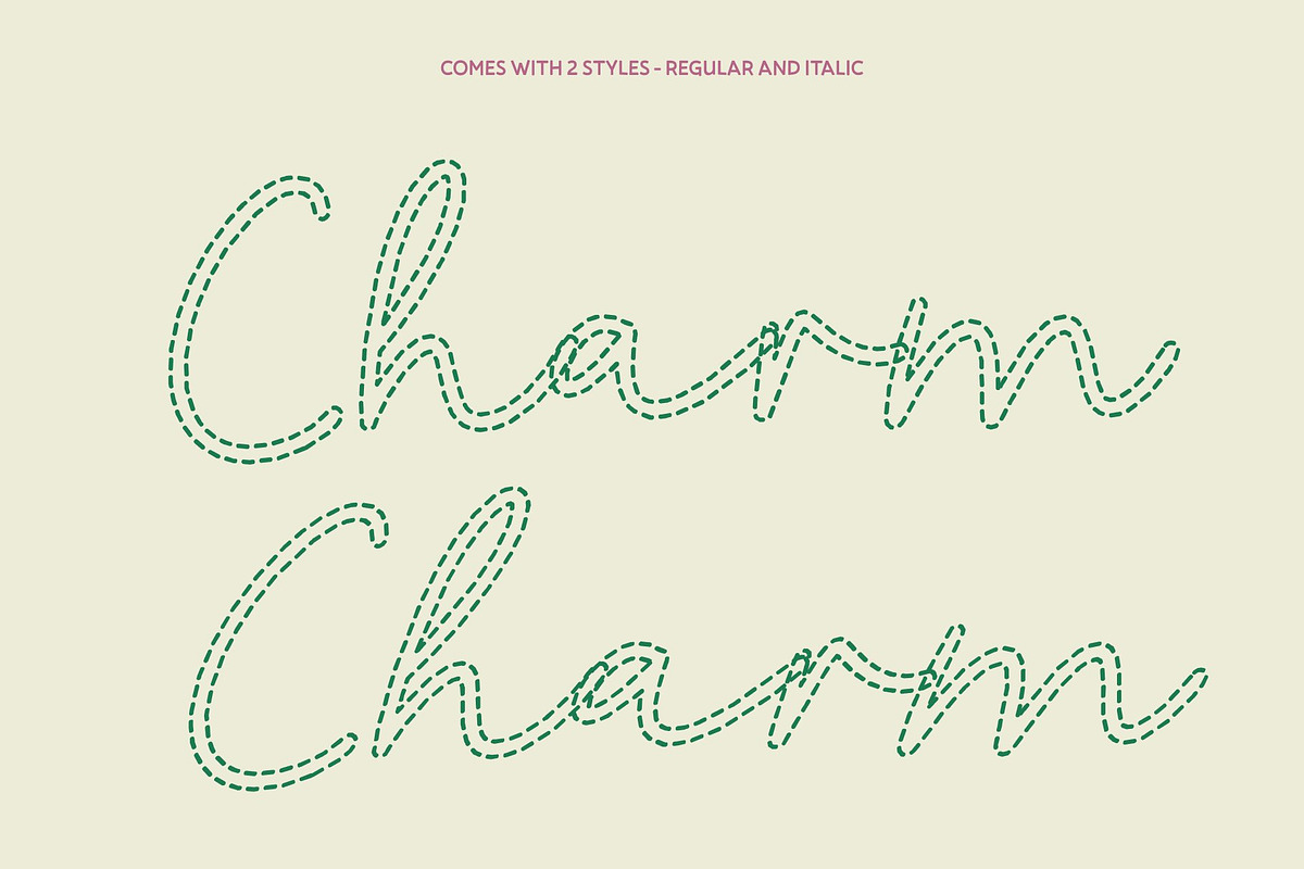 CS Ruska Dashed, a Script Font by Craft Supply Co. (Photo 3 of 8)