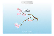 Sakura | Cherry Blossom Florals, an Illustration by January Bloom (Thumbnail 8 of 11)