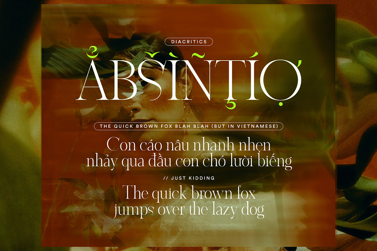ABSINTIO - Stylish Classic Typeface, a Serif Font by One Pillar Studio (Photo 5 of 8)