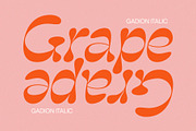 Gadion – Psychedelic Typeface, a Sans Serif Font by Craft Supply Co. (Thumbnail 8 of 8)