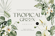 Tropacal Green-watercolor, a Decorative Illustration by AleksaArt (Thumbnail 1 of 16)
