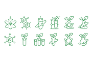 GMO Plant Science Icons, Vector Set, a Nature Photo by Ilia Design (Thumbnail 2 of 3)