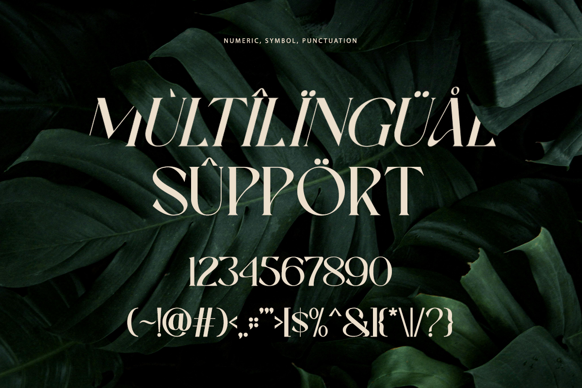 Ever Lasting - Modern Serif Font, a Serif Font by RagamKata (Photo 13 of 13)
