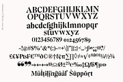 The Story Dream, a Serif Font by joelmaker (Thumbnail 16 of 18)
