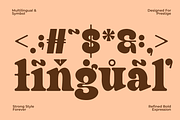 Finer – Classic Bold Serif Typeface, a Serif Font by MaikoHatta (Thumbnail 4 of 7)