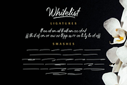 Whitelist - Marker Font, a Script Font by Sibelumpagi Studio (Thumbnail 13 of 14)