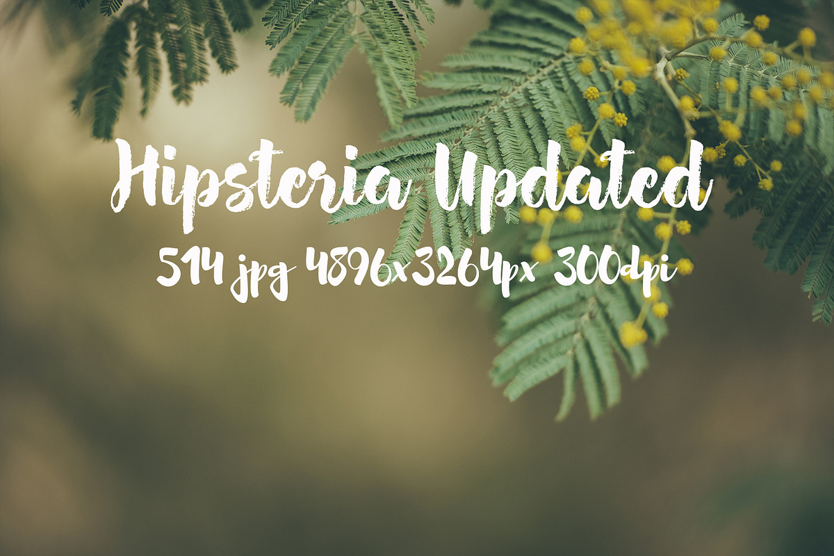 Hipsteria photo pack, a Templates & Theme by ApertureVintage (Photo 27 of 48)