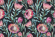 Watercolor Flower Protea, an Illustration by Lembrik's Artworks (Thumbnail 5 of 5)