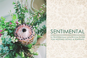 Sentimental - Lightroom Presets, an Action Add-On by Cynosure Filters (Thumbnail 1 of 7)