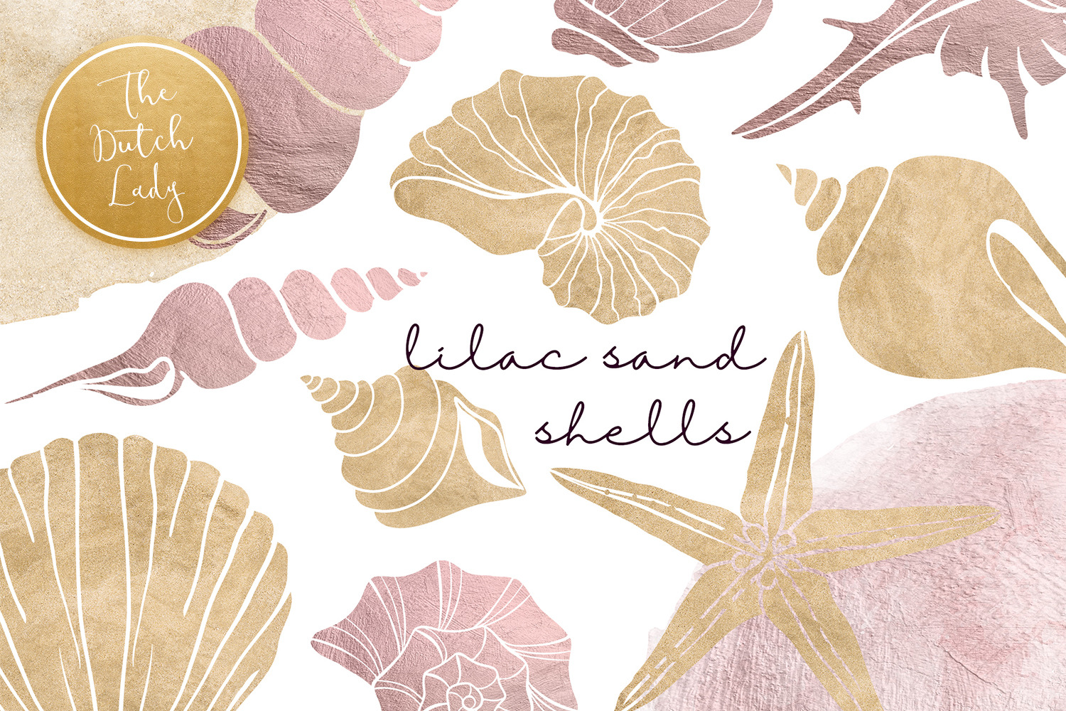 Lilac & Sand Seashell Clipart Set, a Texture Illustration by The Dutch ...