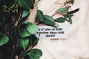 Springfeel, a Font by chekart (Thumbnail 6 of 6)