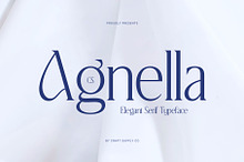 CS Agnella – Elegant Serif Font