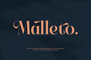 Keylag Borden Modern Serif, a Serif Font by timelesstype.co (Thumbnail 7 of 20)