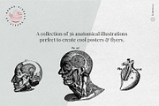 Vintage Bundle - 6600+ Illustrations, an Object Graphic by Nomad Visuals (Thumbnail 22 of 46)