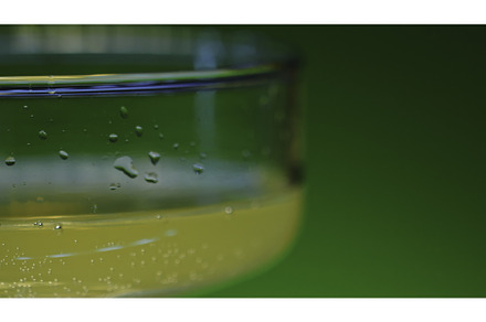 Close-up of glass with alcoholic, a Food & Drink Photo by Media Whale Stock