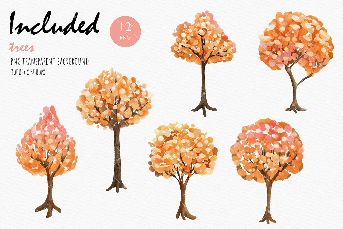 Autumn trees clipart, an Illustration by Chonnieartwork (Photo 3 of 4)