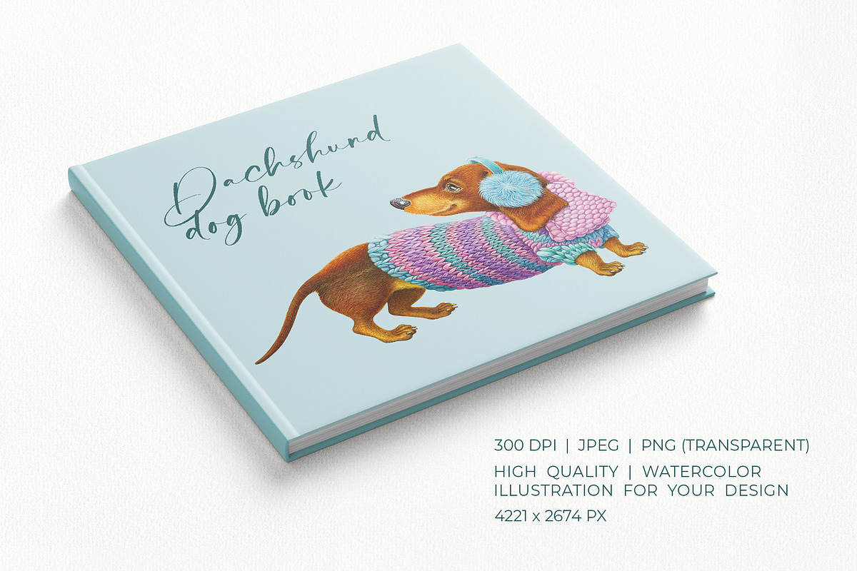 Dachshund Cute Winter Dog, an Animal Illustration by YarovaArt (Photo 2 of 7)