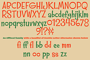 Whipsnapper Family, a Font by Pink Broccoli (Thumbnail 3 of 3)