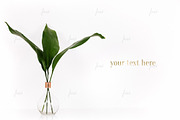 Styled floral on white bg ♥, a Product Mockup by JustLikeMyDesktop (Thumbnail 2 of 2)