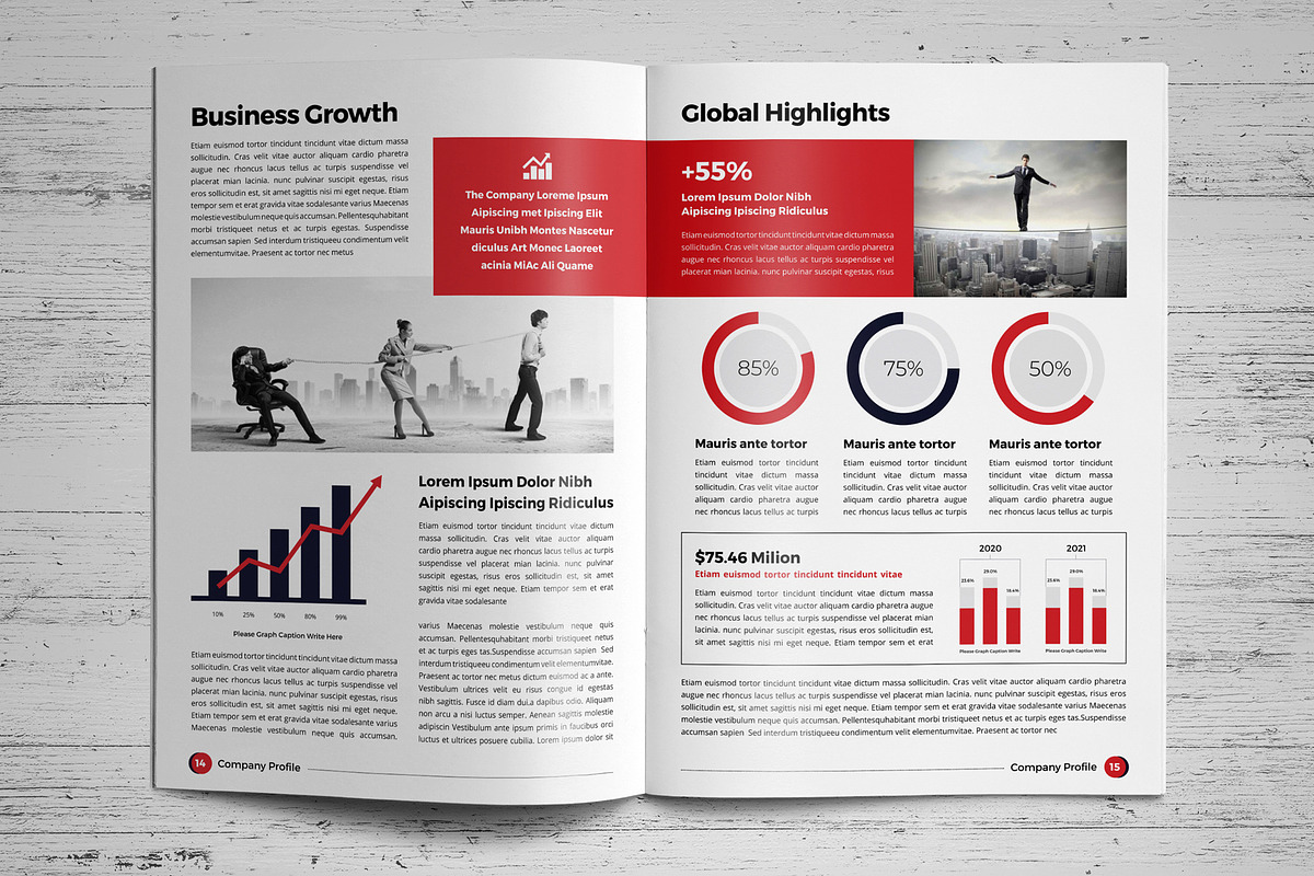 Company Profile Template V7, a Brochure Template by JanySultana (Photo 8 of 14)