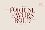 Jango Modern Serif Font, a Serif Font by Vampstudio (Thumbnail 5 of 12)