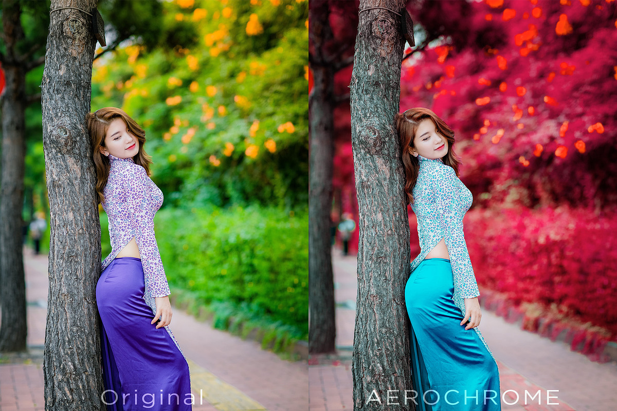 3d LUTs - Slide Film Chrome, a Plug-in Add-On by Click Click Studio (Photo 5 of 7)