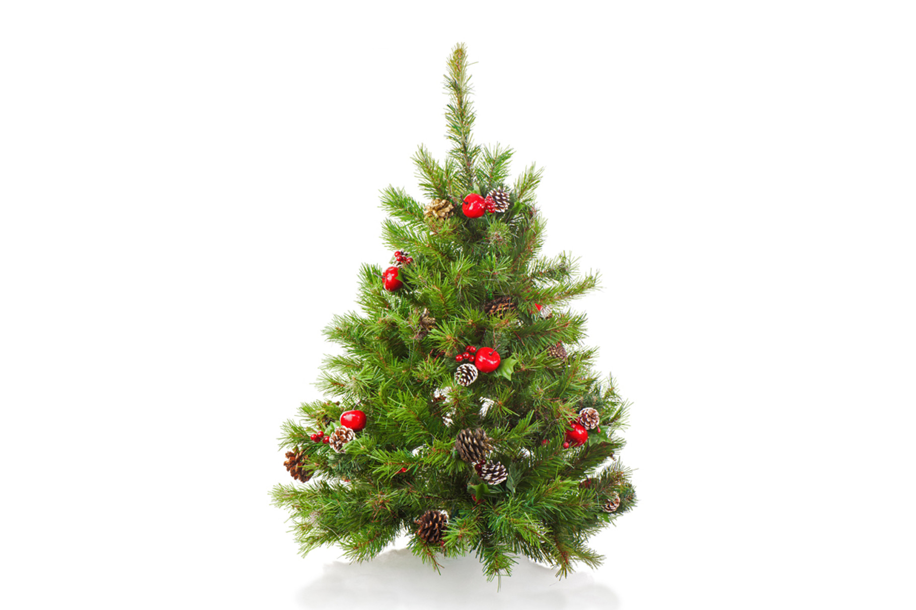 Christmas tree containing christmas, merry, and pine, a Holiday Photo by PhIllStudio