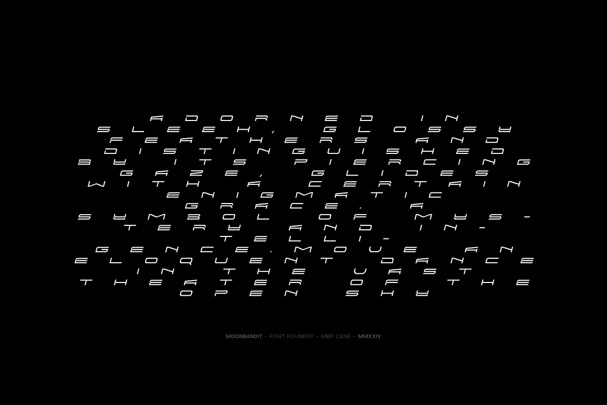 MBF Cane, a Sans Serif Font by MoonBandit (Photo 4 of 8)