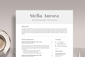 Professional Resume Template RE013