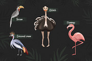Wild Africa. Safari animals clipart, an Animal Illustration by Samnay Arts (Thumbnail 5 of 12)