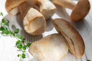 Porcini mushrooms with thyme on white wood background, a Food & Drink Photo by Olena Rudo