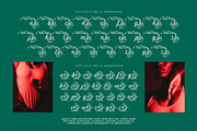Quality Hand Typeface, a Script Font by alit design (Thumbnail 15 of 20)