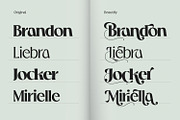 Praya - Modern Branding Font, a Serif Font by creativemedialab (Thumbnail 10 of 17)