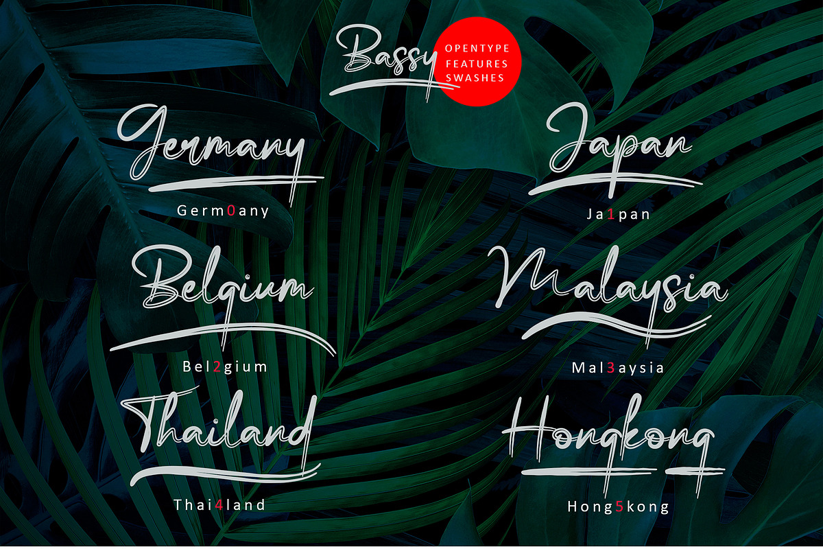 Bassy - Brush Font, a Script Font by erlosDESIGN (Photo 13 of 14)