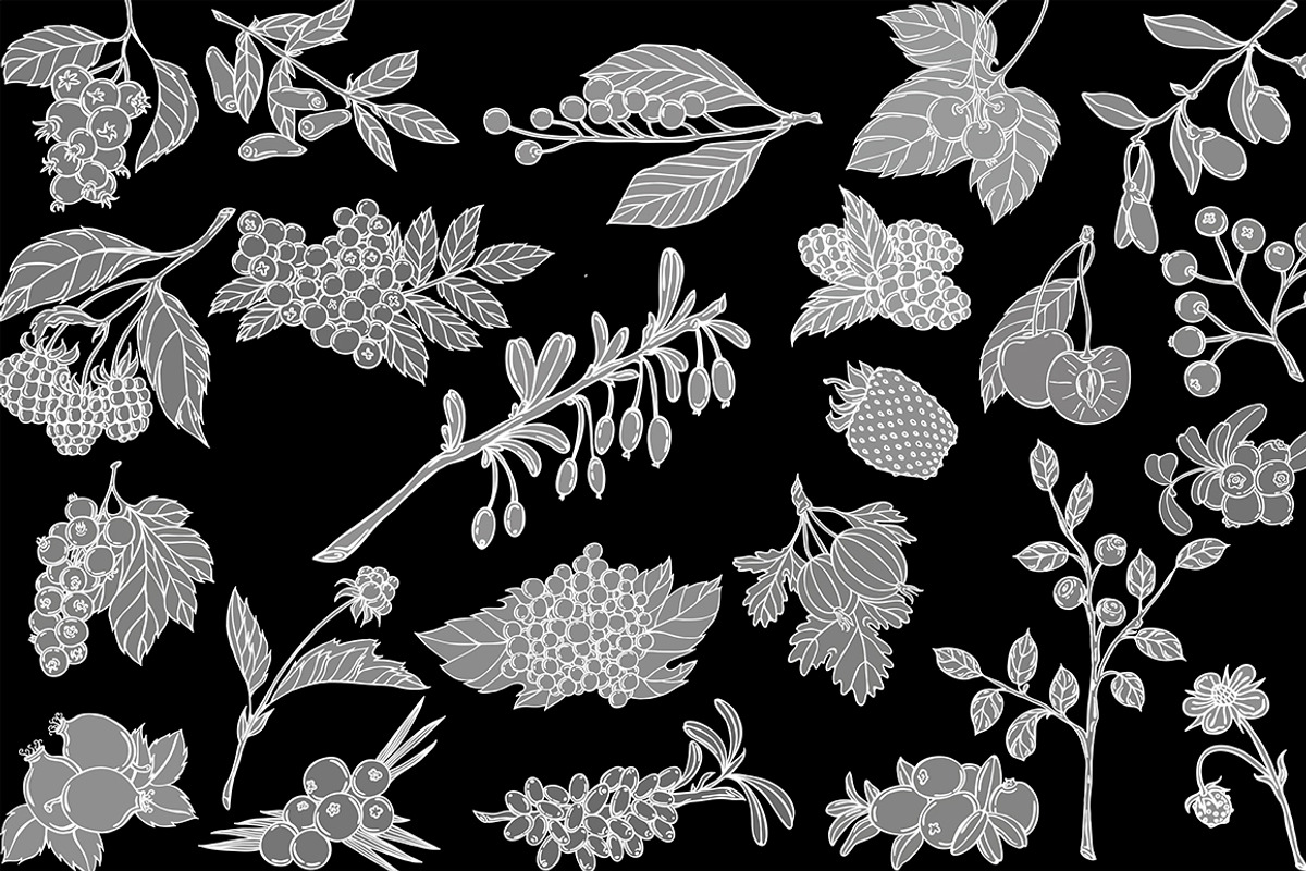 Vector berries, an Illustration by risovanya (Photo 9 of 9)