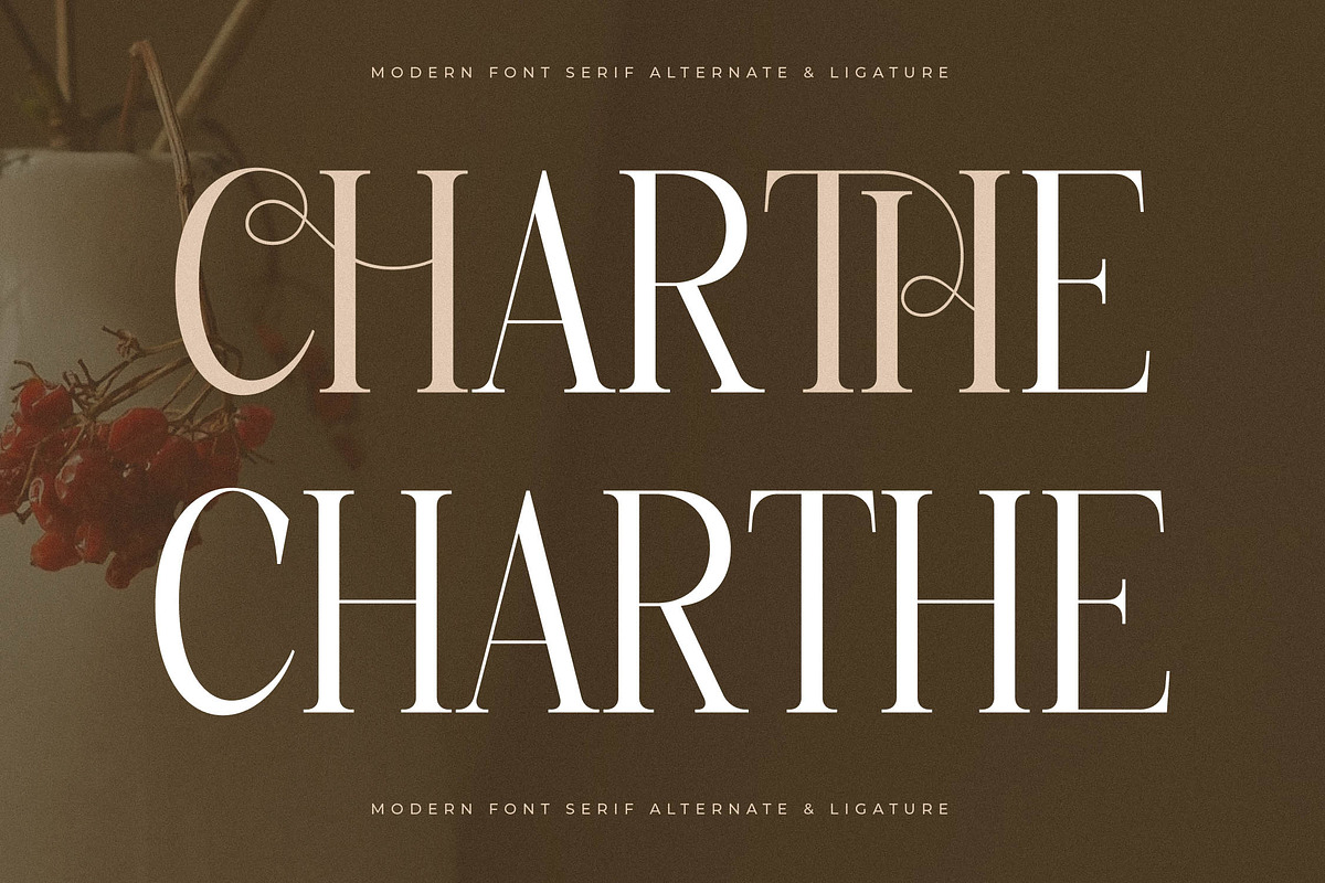 Charthe Modern Font Serif, a Serif Font by Storytype Studio (Photo 5 of 15)